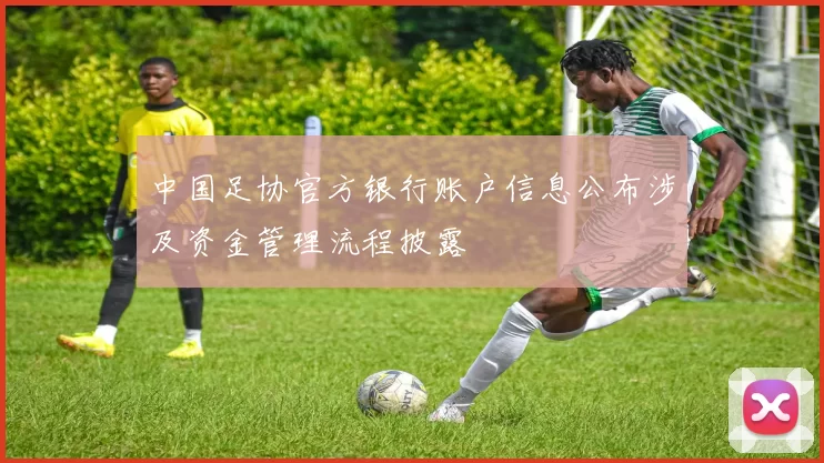 中国足协官方银行账户信息公布涉及资金管理流程披露