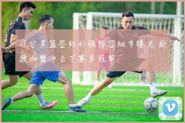 辽宁男篮签约补强阵容细节曝光 新援加盟冲击下赛季冠军